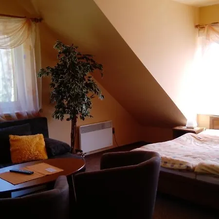 Guest house Pod Boubinem Kubova Hut