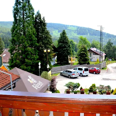 Guest house Pod Boubinem Kubova Hut