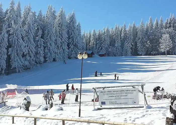 Pod Boubinem Гостевой дом 3*